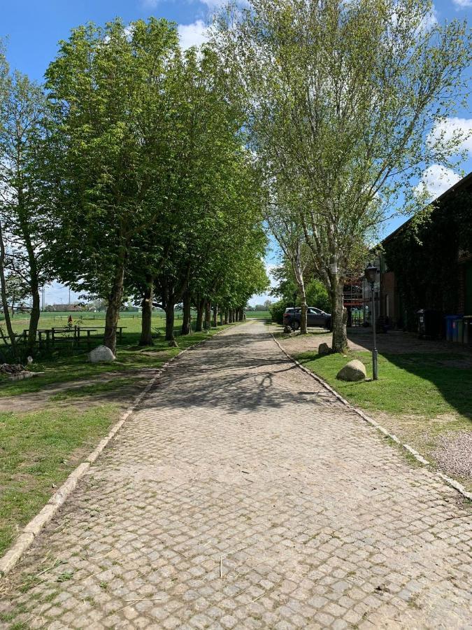 Tjarkshof Apartment Friedrichskoog